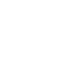 logo_ico_main